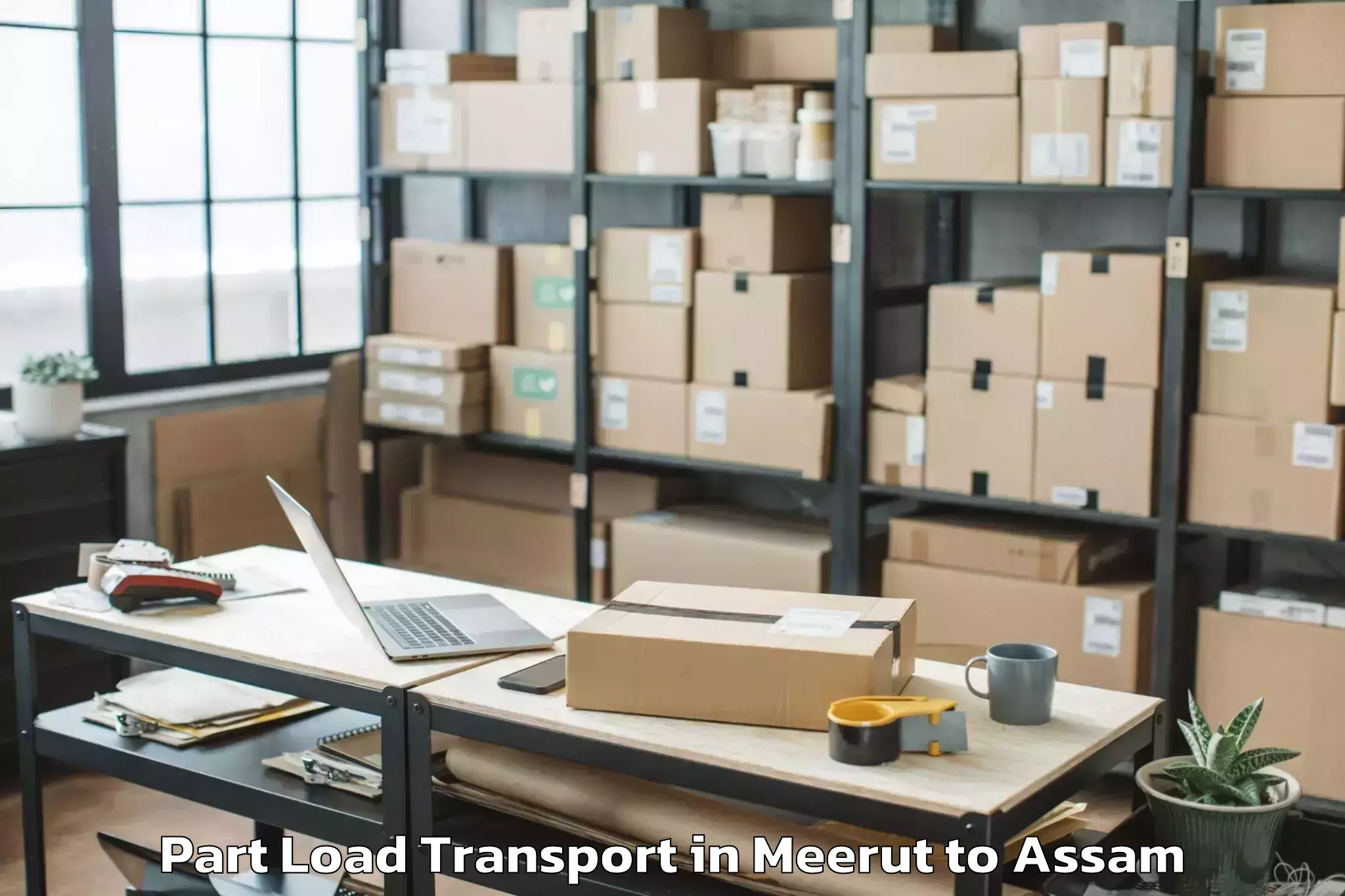 Professional Meerut to Dispur Part Load Transport